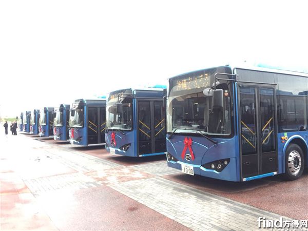 比亚迪日本交车 (4)